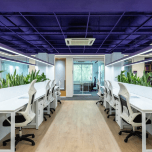 Who Works in Coworking Spaces? A Complete Guide by DeskCo Space